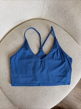 Paragon Fitwear Blue V-Neck Sports Bralette